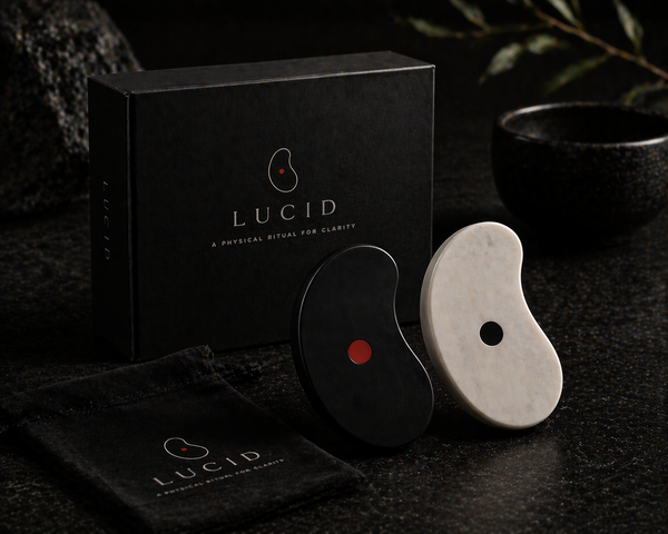 LUCID Dual — Face the Choice